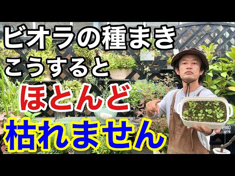 種まきのための10のヒント トピックス