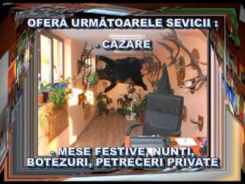 Pensiunea"Dealul Viilor" Hateg