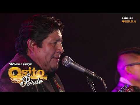 Osito Pardo - Mix Exitos (Concierto) 2019