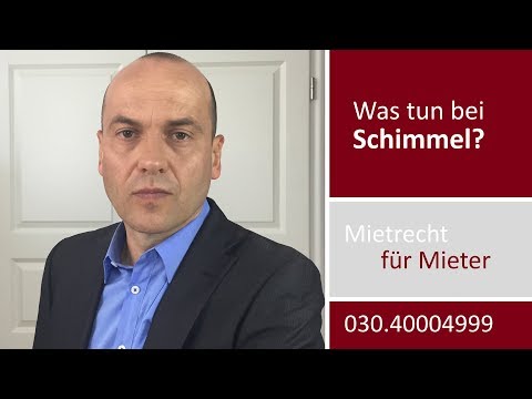 Schimmel in der Wohnung - Was ist aus Mietersicht zu tun? | Fachanwalt Bredereck