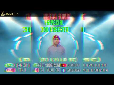 MEGA FUNK ESPECIAL 300 INSCRITO (Dj Lyllo SC)