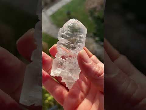 Cool Selenite crystal. Laguna del Rey, Ocampo Municipality, Coahuila, Mexico
