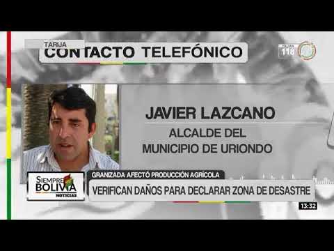 Granizo provoca daños en cultivos de cebolla, tomate y uva en Uriondo, Tarija