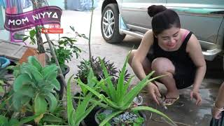 Download lagu Part 2 Kegiatan Mama muda di pagi hari mp3 Download lagu Part 2 Kegiatan Mama muda di pagi hari mp3