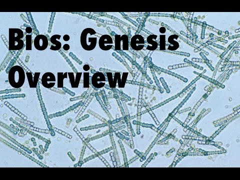 Bios: Genesis Overview
