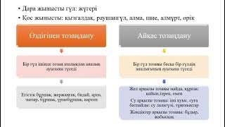 Үлкен Дик би