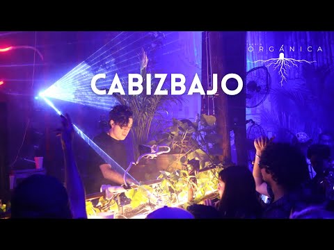 Cabizbajo @ Jardín Orgánica