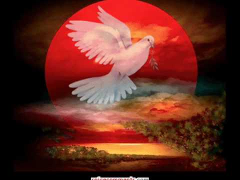 KJE SI ANGEL VARUH MOJ