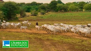  Novas orientações da Secex e seus impactos nas importações - 03/12/2025 15:00