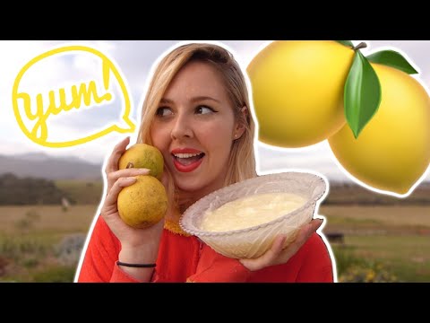 I Made Jamie Oliver's Lemon Sorbet (Fixing My Big Whoops)