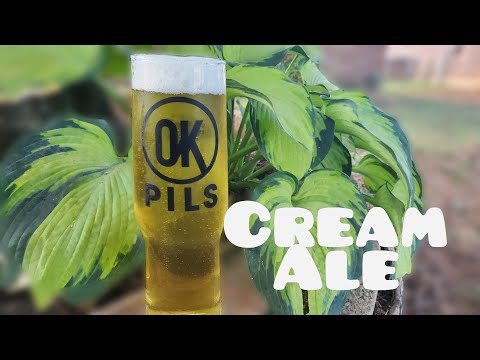 Cream Ale Recipe with Tasting Notes || Biz Wilkinson