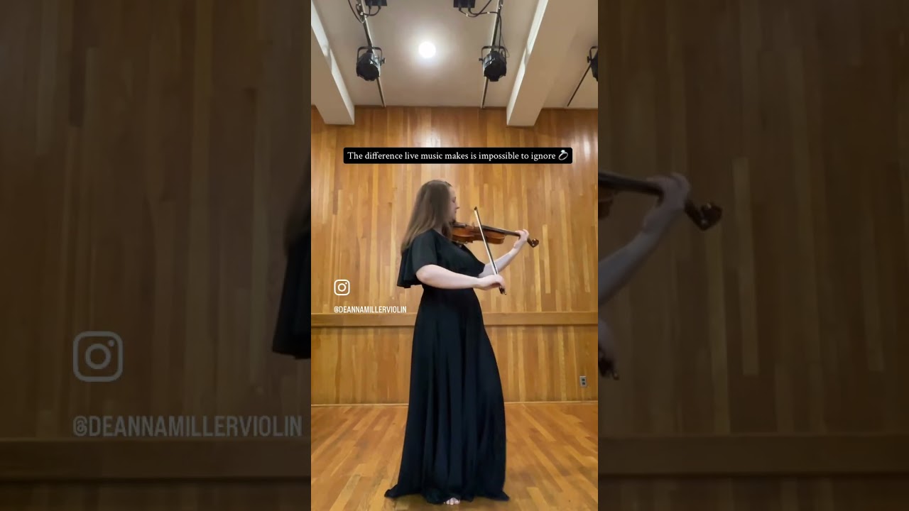 Promotional video thumbnail 3 for Professional Solo Violin - and more!