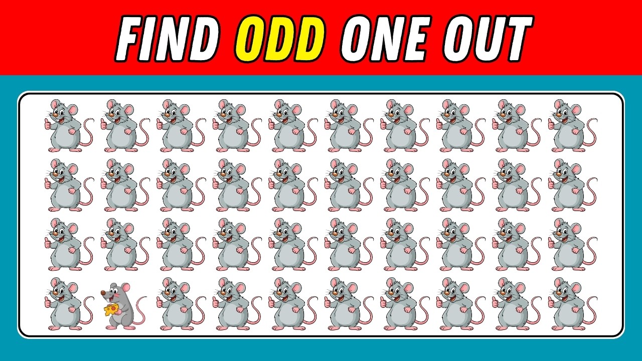 Only Geniuses Can Solve All 30 Puzzles 🧠🔥 (99% Fail!) Eye Sight Challenge Quiz Wick