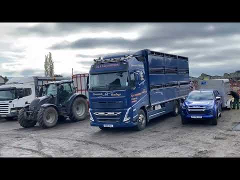 LIVESTOCK TRUCKS AT LAZONBY MART  25 SEPTEMBER 2024