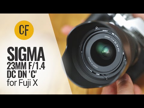 Video thumbnail for Video Review 3