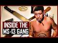 MS 13 The Most Ruthless Gang In America Gang World Twisted Tales