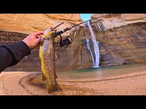 Trout Fishing a WATERFALL in the DESERT!! (Catch, Cook, & Camp)