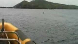 preview picture of video 'Basking Sharks off Cape Clear Island, West Cork..'
