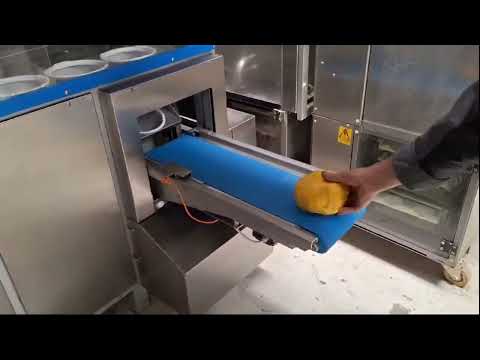 WP Haton BIP 72 Proofer P240308009