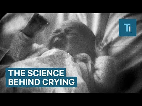 Why Do We Cry?