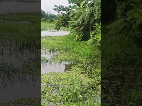 #nature #photography #lake #naturesounds #soundeffects #royaltyfree #lifeisbutadream #travel