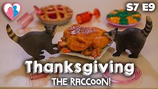 S7 E9 "Thanksgiving (The Raccoon!)" | The Barbie Happy Family Show