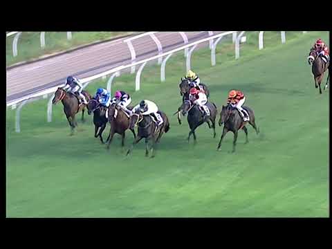 Napoli Galoppo 31/07/2021 - 4ª corsa