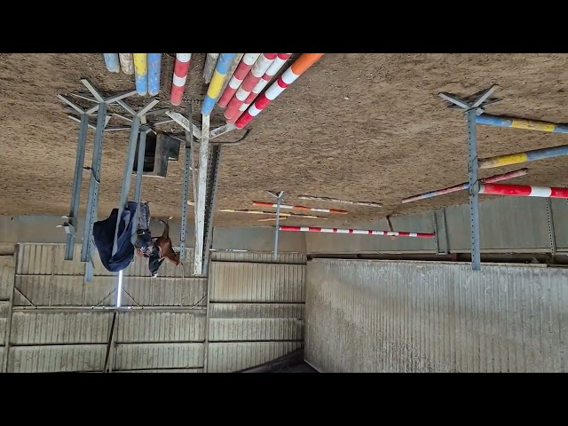 HONGRE SF DE GRANDE TAILLE