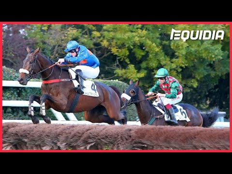 THÉLÈME BRILLE, LE SOLEIL ÉCLIPSE HERMES BAIE | Prix Renaud du Vivier 2021 | Auteuil | Groupe 1