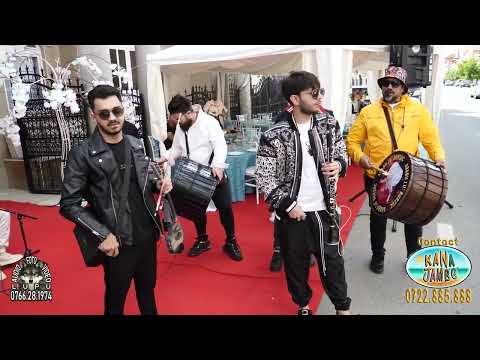 Formatia Kana Jambe Arabii lu' Bursuc - Program instrumental (Nunta Armyn & Romanita)