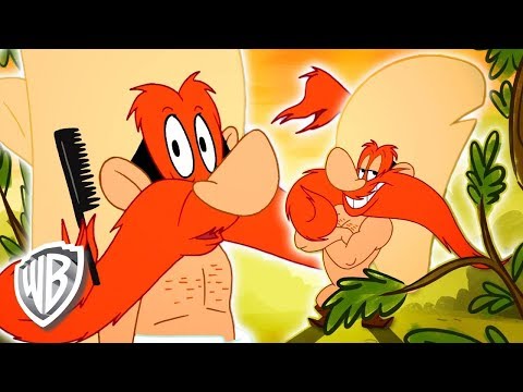 Looney Tunes en Español | Bigote, de Yosemite Sam | WB Kids