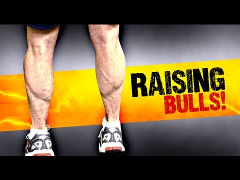 Muscular Strenght Title