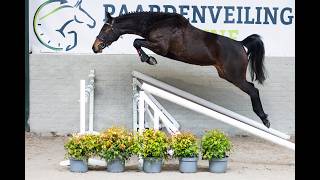 Springen & bewegen