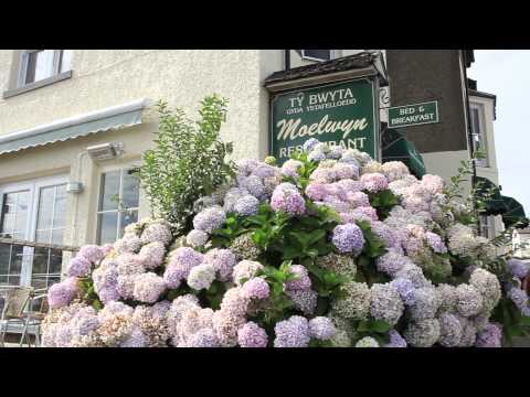 Ocean Heights Caravan Park, near Pwllheli