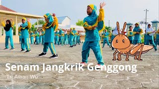 Download lagu Senam Jankrik Genggong #jangkrik #jangkrikgenggong #fyp #viral mp3