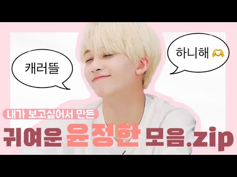 [세븐틴/정한] 귀여운 윤정한 모음.zip