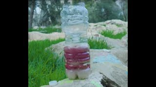 מלכודת יתושים - עשו זאת בעצמכם