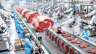 Inside a Modern Beef Processing Plant: From Fresh Meat to Jerky & Biltong (Full Process)