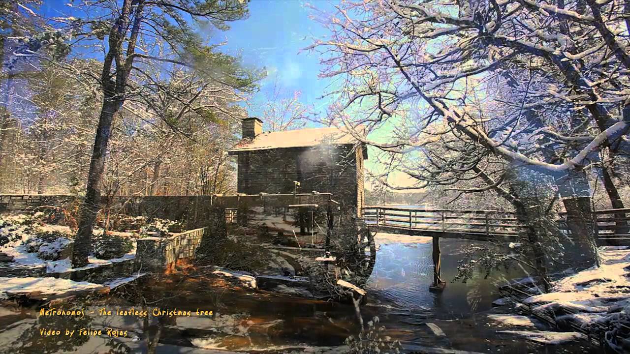 The Leafless Christmas Tree