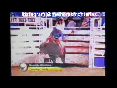 Romildo Monteiro x touro tassa