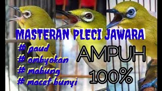 Download lagu Masteran Pleci Juara Dengan Terapi Air Ampuh 100% mp3