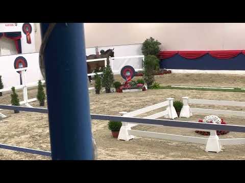 Bon My Love (Bonds x San Amour x Dream of Love