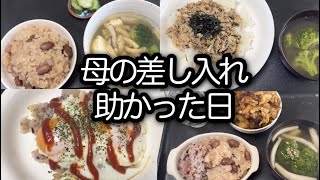 【アラフィフ一人暮らしの食事】母からの差し入れがありがたかった日