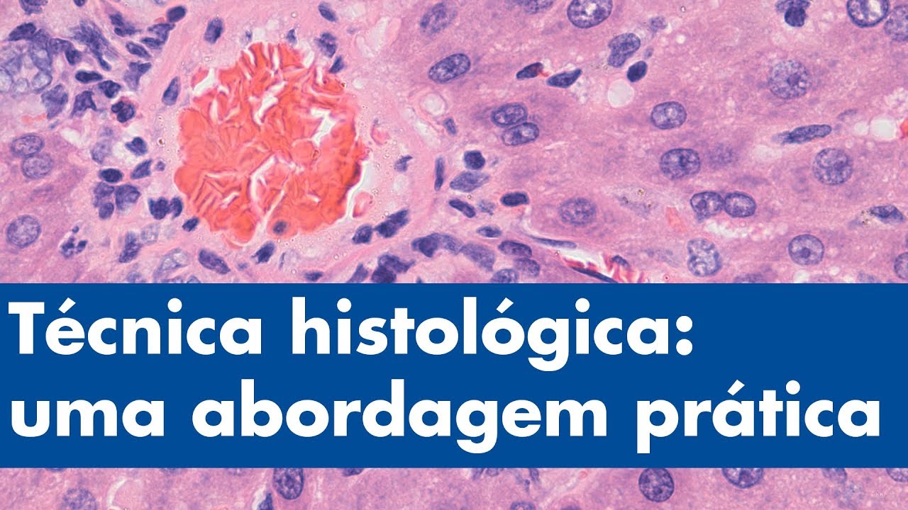 "Técnica histológica - uma abordagem prática" - TRAILER
