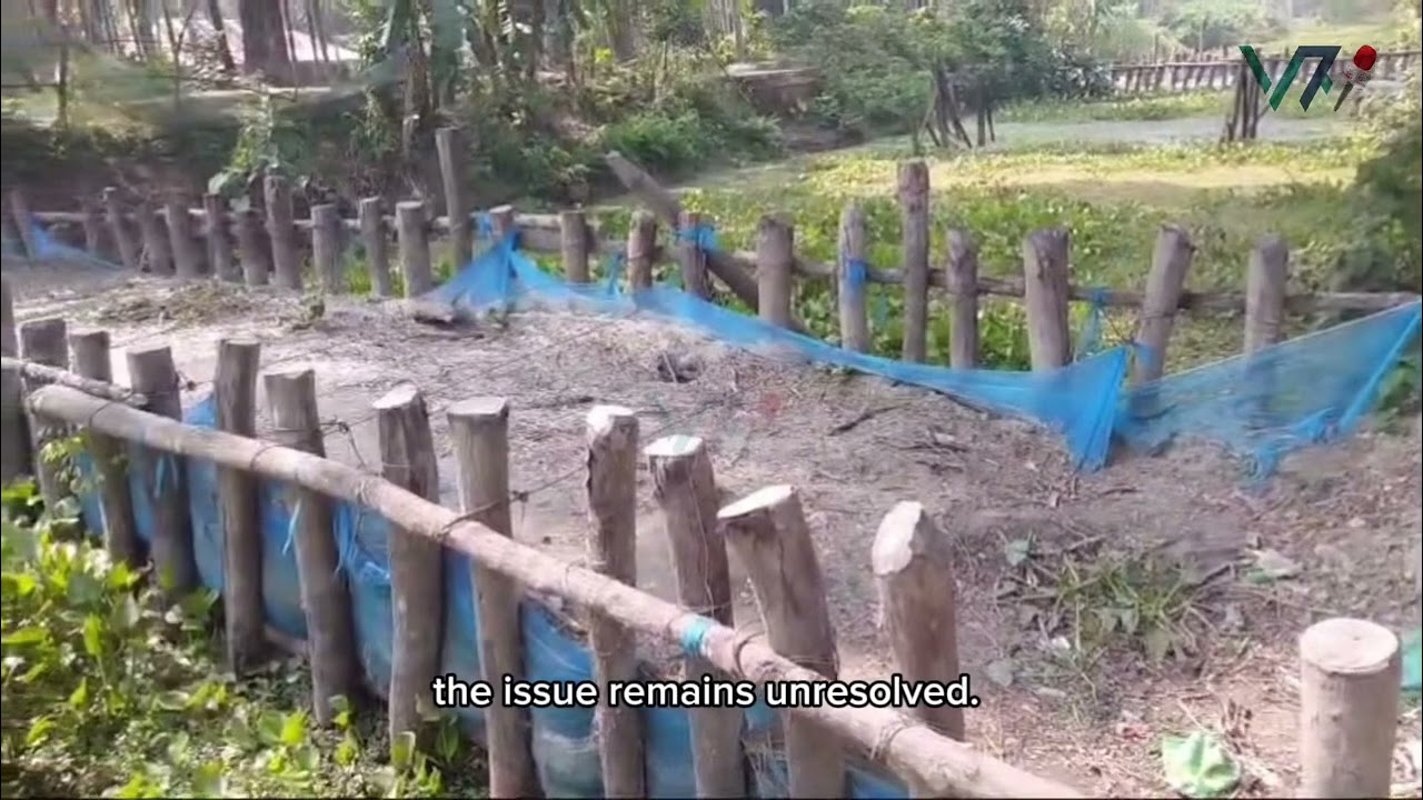 5 Illegal Dams Cause Agricultural & Environmental Crisis in Pirojpur