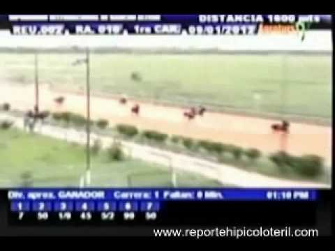 Resumen Lunes 09 de Enero de 2012 - Rancho Alegre