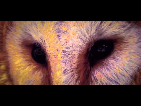 The Owl 2.0 - YouTube Video Editor Edition