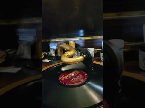 What Do I Care - (Billy Jones) Joe Friedman's Monte Carlo Orchestra Harmony Records #33 1925