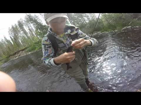 taimenen kalastus osa 2