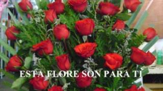 Desde que te amo Los Tucanes De Tijuana